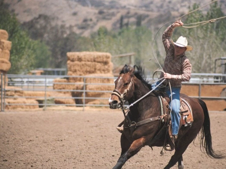 Даллас 362 (2002) в хорошем качестве скачать торрент файл Даллас 362 (2002) фильм в хорошем качестве скачать торрент файл