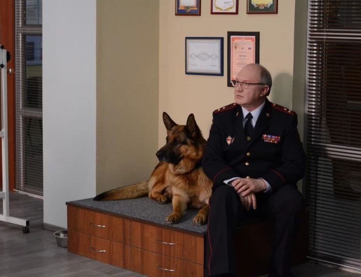 Возвращение Мухтара. Новый след (2016) 1-10 сезон 1-46,47,48 серия скачать торрент файл Возвращение Мухтара. Новый след (2016) сериал 1-46,47,48 серию 1-10 сезона скачать торрент файл