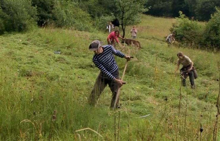 Чудеса природы (2012) скачать торрент бесплатно Чудеса природы (2012) фильм скачать торрент бесплатно