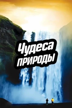 Чудеса природы / Miracles of Nature (2012) фильм скачать через торрет бесплатно в хорошем качестве