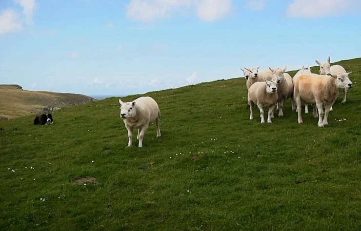Чудеса природы (2012) в хорошем качестве скачать торрент файл Чудеса природы (2012) фильм в хорошем качестве скачать торрент файл