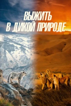 Выжить в дикой природе / Survive the Wild (2016) фильм скачать через торрет бесплатно в хорошем качестве