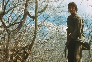 Последнее солнце (2001) в хорошем качестве скачать торрент файл Последнее солнце (2001) фильм в хорошем качестве скачать торрент файл