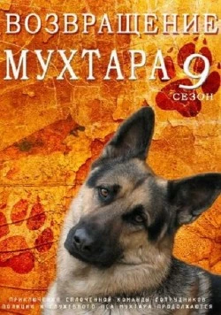 Возвращение Мухтара 9 (2013) cериал скачать через торрет бесплатно в хорошем качестве