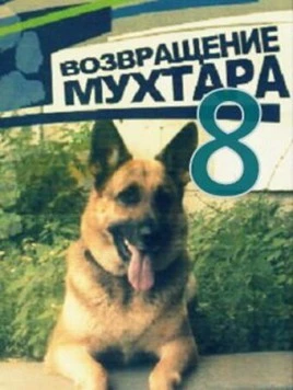 Возвращение Мухтара 8 (2012) cериал скачать через торрет бесплатно в хорошем качестве