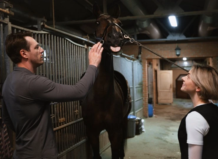 В тени больших чисел 4. Знаки (2025) в хорошем качестве скачать торрент файл В тени больших чисел 4. Знаки (2025) фильм в хорошем качестве скачать торрент файл