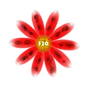 F20 (2011) фильм скачать через торрет бесплатно в хорошем качестве