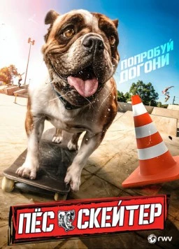 Пёс-скейтер / Sk8 Dawg (2018) фильм скачать через торрет бесплатно в хорошем качестве