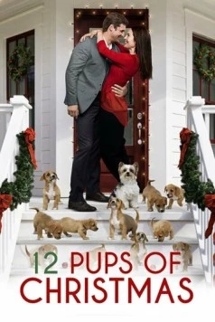12 щенков Рождества / 12 Pups of Christmas (2019) фильм скачать через торрет бесплатно в хорошем качестве