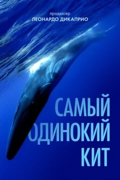 Самый одинокий кит / The Loneliest Whale: The Search for 52 (2021) фильм скачать через торрет бесплатно в хорошем качестве