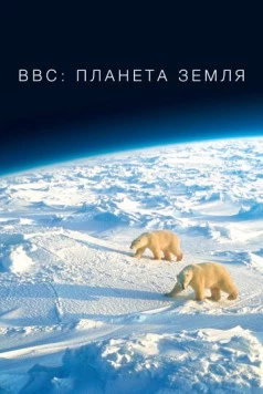 BBC: Планета Земля / Planeta Zemlya / Planet Earth (2007) сериал скачать через торрет бесплатно в хорошем качестве