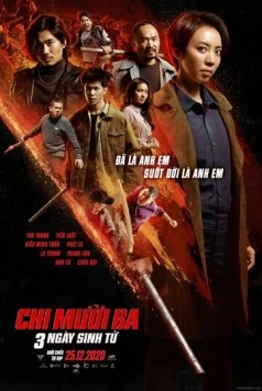Тринадцатая сестра: Три убийственных дня / Chị Mười Ba: 3 Ngay Sinh Tử (2020) фильм скачать через торрет бесплатно в хорошем качестве