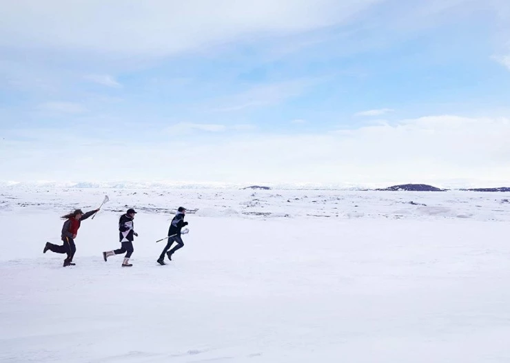 Гризли (2018) скачать торрент файл Гризли (2018) фильм скачать торрент файл