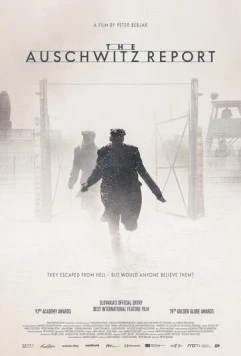 Протокол Освенцима / The Auschwitz Report (2020) фильм скачать через торрет бесплатно в хорошем качестве