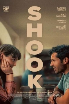 Потрясение / Shook (2024) фильм скачать через торрет бесплатно в хорошем качестве