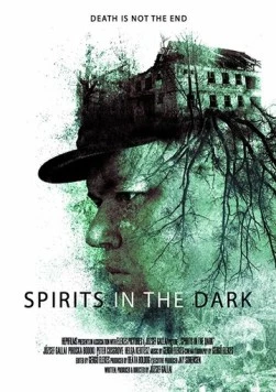 Духи во тьме / Spirits in the Dark (2020) фильм скачать через торрет бесплатно в хорошем качестве