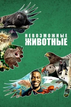 Невозможные животные / Impossible Animals (2021) фильм скачать через торрет бесплатно в хорошем качестве