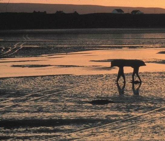 Сближение (2000) в хорошем качестве скачать торрент файл Сближение (2000) фильм в хорошем качестве скачать торрент файл