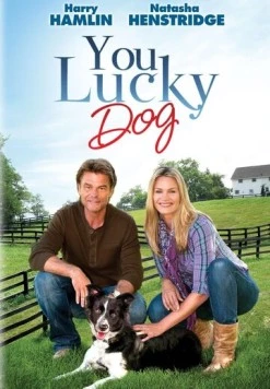 Везучий пёс / You Lucky Dog (2010) фильм скачать через торрет бесплатно в хорошем качестве