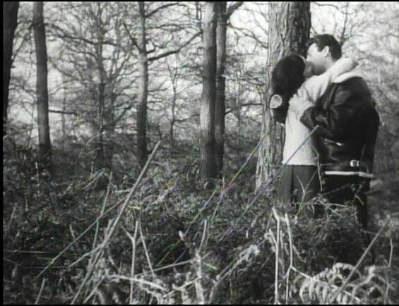 Милашки (1960) скачать торрент бесплатно Милашки (1960) фильм скачать торрент бесплатно