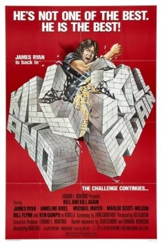 Убить дважды / Kill and Kill Again (1981) фильм скачать через торрет бесплатно в хорошем качестве