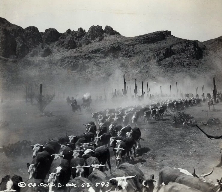 Аризона (1940) скачать торрент файл Аризона (1940) фильм скачать торрент файл