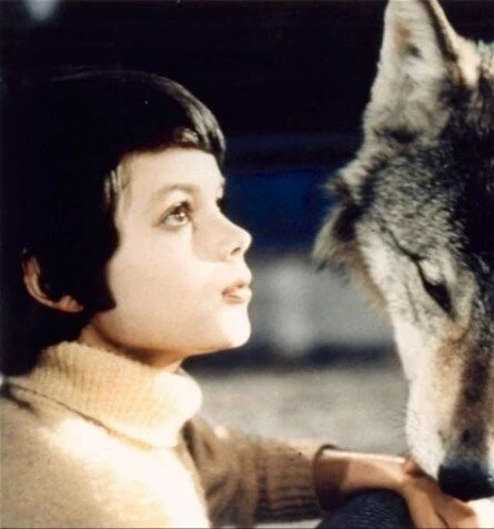 Рождественская елка (1969) скачать торрент файл Рождественская елка (1969) фильм скачать торрент файл