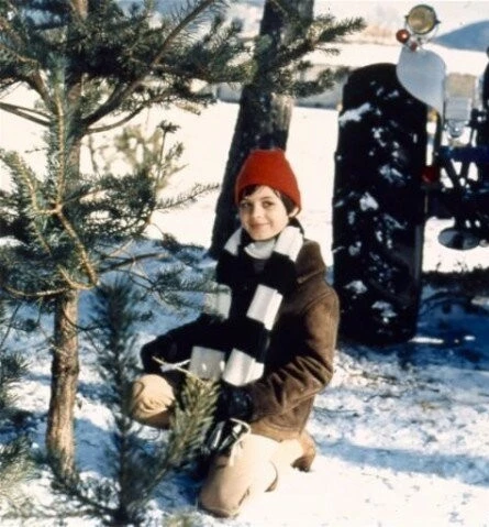 Рождественская елка (1969) скачать торрент бесплатно Рождественская елка (1969) фильм скачать торрент бесплатно