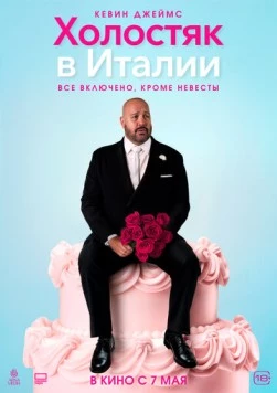 Постер: Холостяк в Италии / Solo Mio (2026)