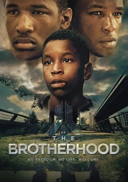 Постер: Братство / The Brotherhood (2017)