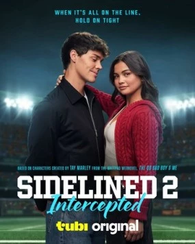 Постер: Плохой парень и я 2: Перехват / Sidelined 2: Intercepted (2025)