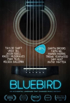 Постер: Блубёрд / Bluebird (2019)