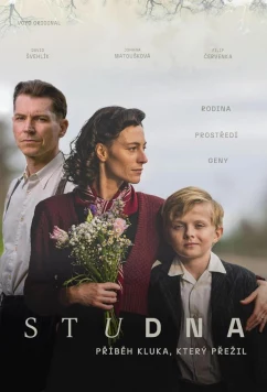 Постер: Колодец / Studna (2025)