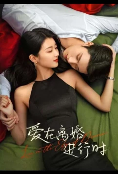 Постер: Любовь на грани развода / Love in the Edge of Divorce (2025)