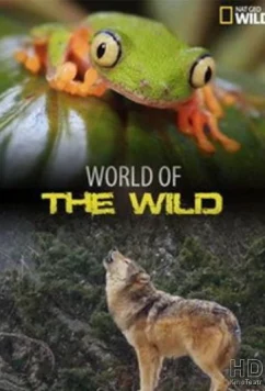 Постер: Мир дикой природы / World of the Wild (2016)