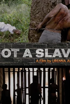 Постер: Мы не рабы / Not a Slave (2021)