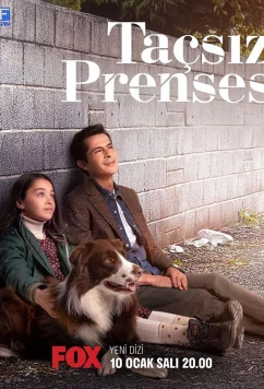 Постер: Принцесса без короны / Tacsiz Prenses (2023)