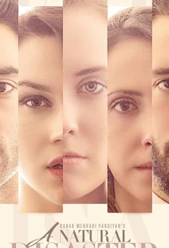 Постер: Стихийное бедствие / A Natural Disaster (2018)