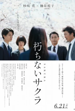 Постер: Вечная сакура / Kuchinai Sakura (2024)