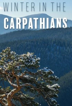 Постер: Зима в Карпатах / Winter in the Carpathians (2017)